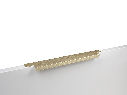 Ручка торцевая мебельная RAY RT109BSG.1