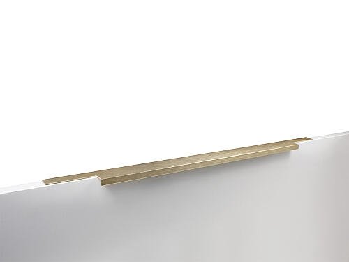 Ручка торцевая мебельная RAY RT109BSG.1